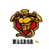 masror.barwari1