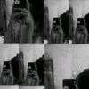 ghia_58