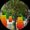 growagardenmangotree