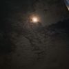 moonid66