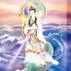 xuhuongtiktok1088