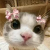 itz_sofia1706