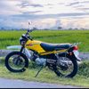 sasa yelloWin