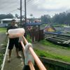 bang.odoy860
