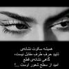 user81027299735210