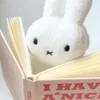 kimura.miyushi