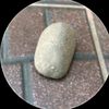 oliver_el_pato1