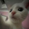 katck6