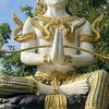 thai.1639