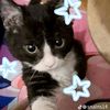 crystelgirl241