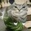 bananchik_pro1