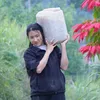 Ánh Tuyết (Men Lá Hồng Mi)