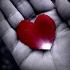 celmi.boodhari