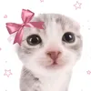 kizzykit8
