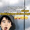 Laos kukira daging