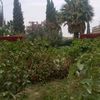 user397084728531