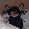 wa_miranda012