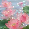 hoa.linh.lan50