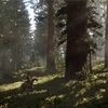 dante_5234