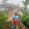 arielreyes446
