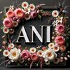 ani29319