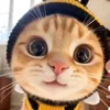 cucungggcuatuong