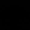 saeedalameri700