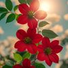 amna.shah730
