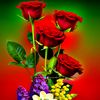subashsubash241