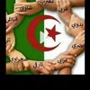 user5398524182876
