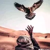 tnmin78