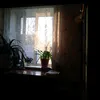 useroks47