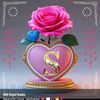nisat.islam3