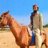 kaleem.baloch399