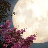 استغفر الله واتوب اليه
