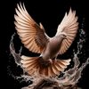 storylove193320
