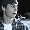 endrysae