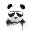 dannyboy7902