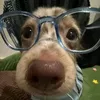 its.just.orlaghxx12