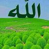 user4012052858165
