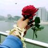 shafikul.8090