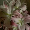 a_nna02_9