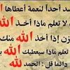 user231818520461