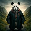 castleyt10gamer