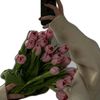 user2479029679206
