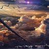 amirdz610