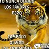user923919403400