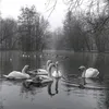 lizashamsutdinova8