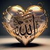tabish.jutt320
