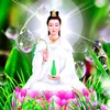 minh.l.ngoc4